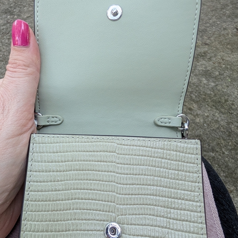 Coach Mini Wallet On A Chain Pale Green NEW WITH TAGS - Picture 6 of 8